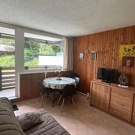 Cosy 1 Chambre, Au Centre De - Fr-1-814-1 Super Besse